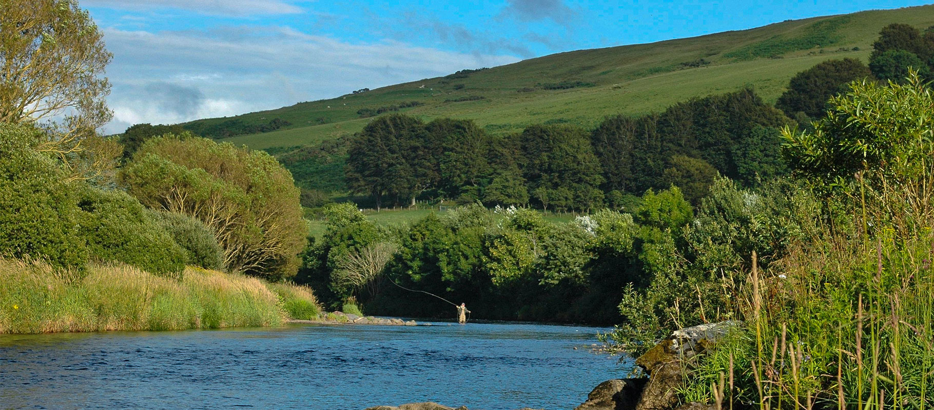 Dalreoch & Bardrochat Farming & Sporting Estate — background image 1