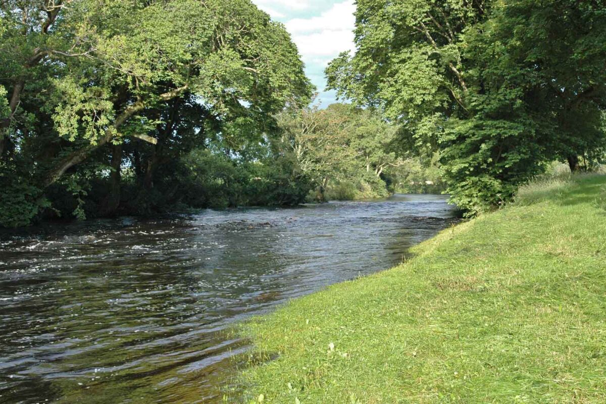 dalreoch-bardrochat-estate-fishing-1