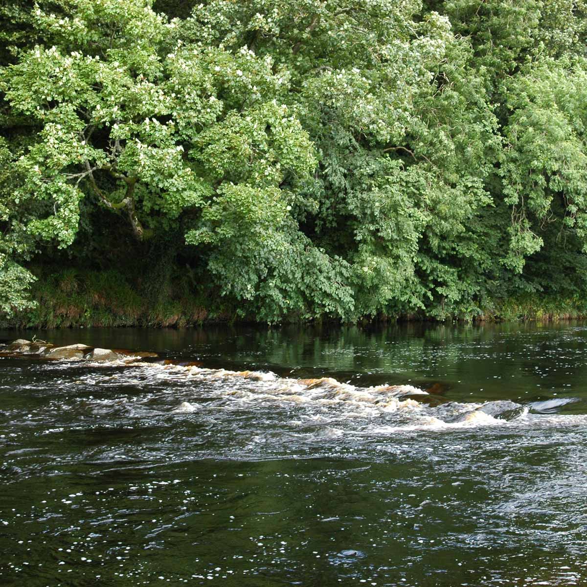 dalreoch-bardrochat-estate-fishing-10