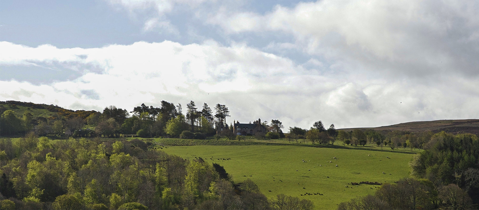 Dalreoch & Bardrochat Farming & Sporting Estate — background image 4