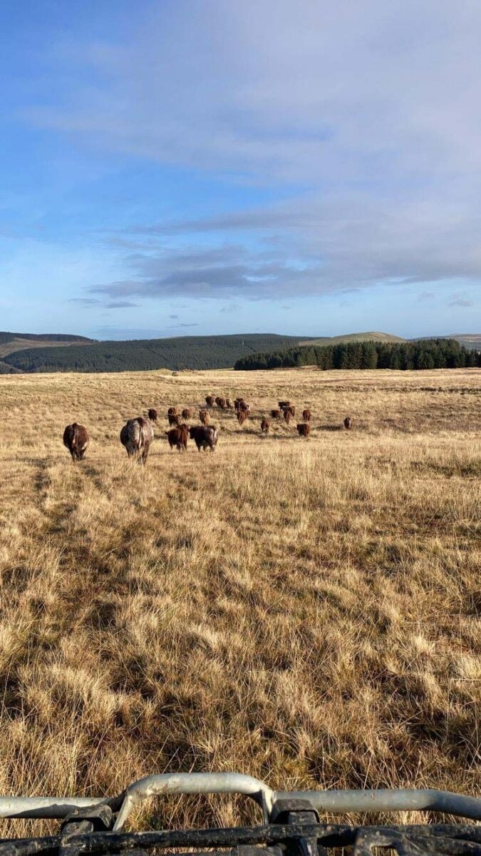 land-view-from-quad-bike-farming