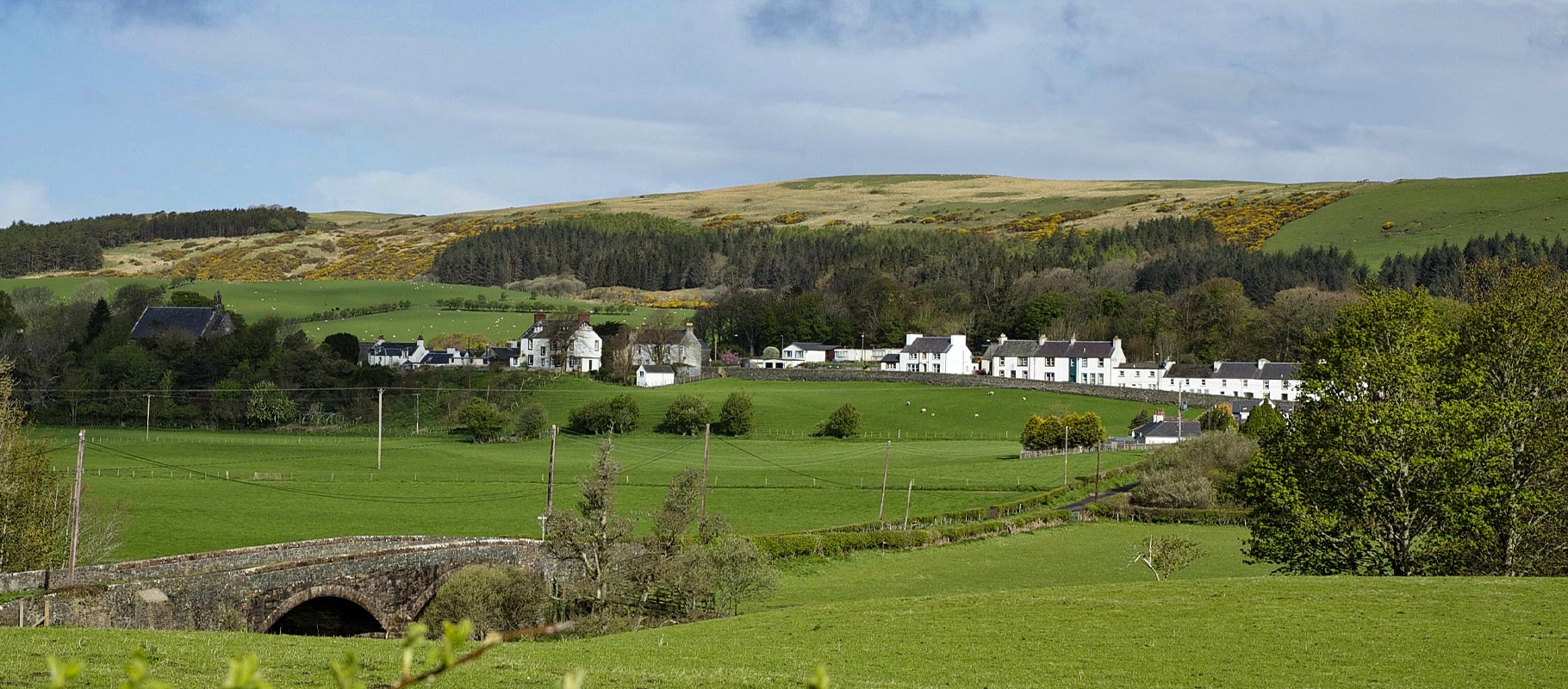 Dalreoch & Bardrochat Farming & Sporting Estate — background image 6