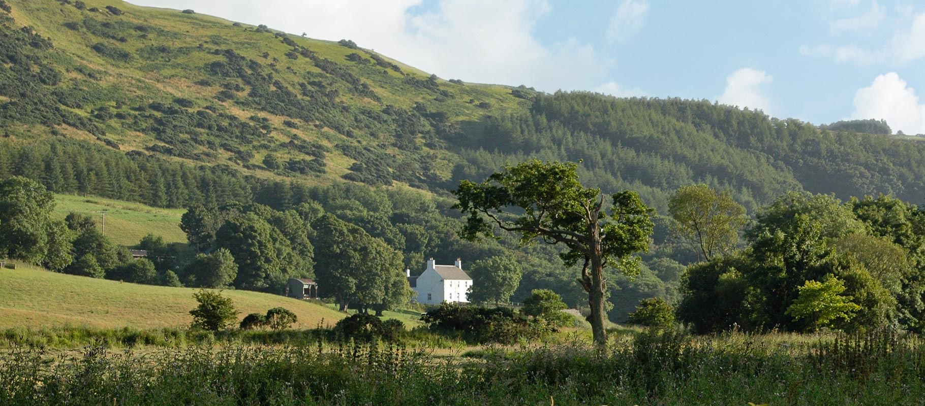 Dalreoch & Bardrochat Farming & Sporting Estate — background image 7